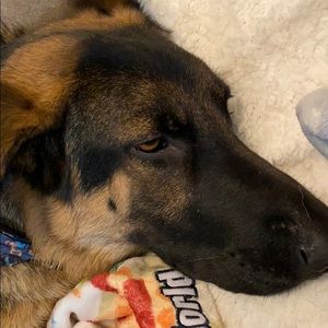 Meet your Posher, Cherie